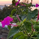瓦瑞娜丽小型精品旅馆 招待所 Mykonos Town