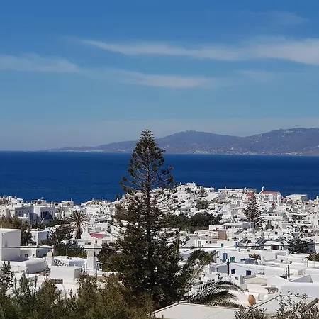 Varnali Small Boutique ゲストハウス