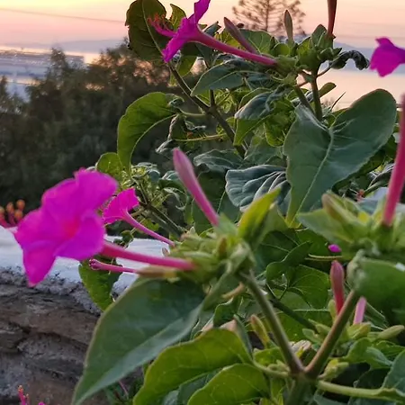 Varnali Small Boutique ゲストハウス Mykonos Town