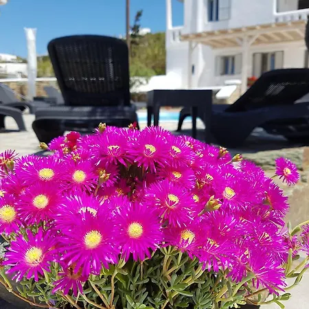 Гостевой дом Varnali Small Boutique Mykonos Town