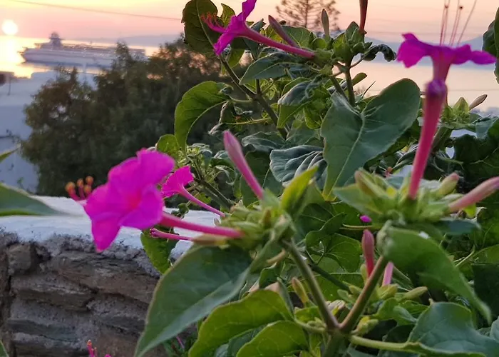 Varnali Small Boutique בית הארחה Mykonos Town